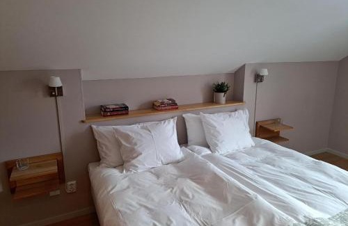 Atvidaberg Hotel | Villa Baro