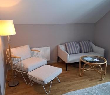 Atvidaberg Hotel | Villa Baro