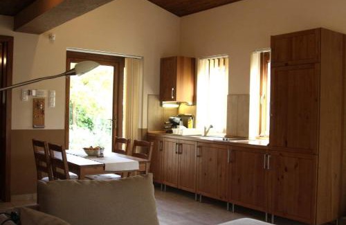Dunapataj Villa | VILLA BARRACA