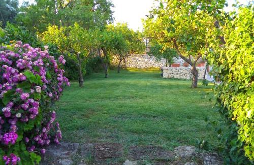 Syracuse House | Villa Belfronte