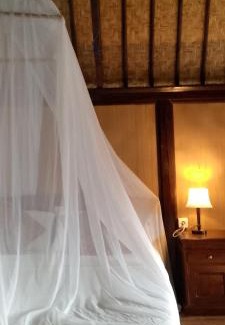 Kedisan Villa | Villa bungalow restoApung