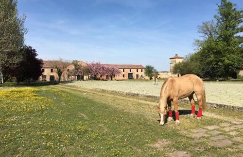 Granze House | Villa Ca' Conti