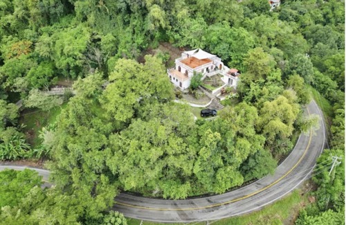 Tilaco House | Villa Café y Arte - Xilitla Rainforest Experience