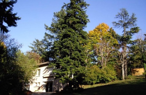 Vancia - Crepieux House | Villa Castel Suite Pavilion with TV lounge and kitchen