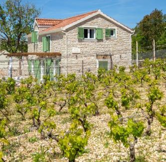 Blizna Donja Villa | Villa Cavalleria Rusticana with heated pool and vineyard