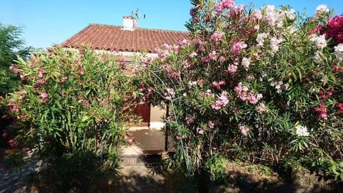 Largentiere Villa | Villa chaleureuse en sud Ardèche avec piscine privée 200 m²