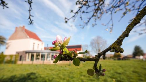 Michelbeke House | Villa Corthals