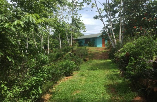 Drake Bay House | Villa with primary forest view