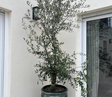 Trouville-sur-Mer Villa | Villa de charme avec grand jardin centre Trouville sur mer