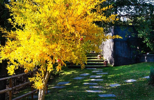 Montargano House | Villa del Gelso - Chalet in the Etna Park