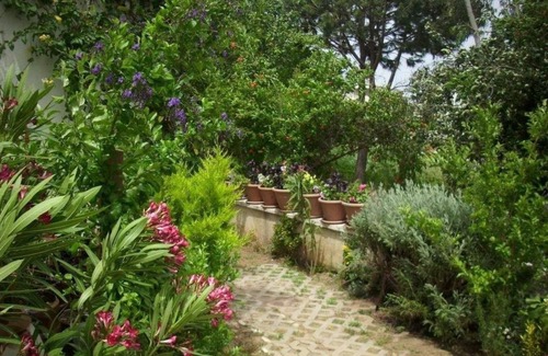 Guzelcamli Apartment | Villa Demirci 6