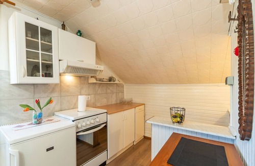 urinici Villa | Villa Desin - Three Bedroom Apartment with Terrace and Garden View