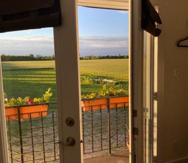 Wellington Bed & Breakfast | Villa di Casa - Boutique Hotel