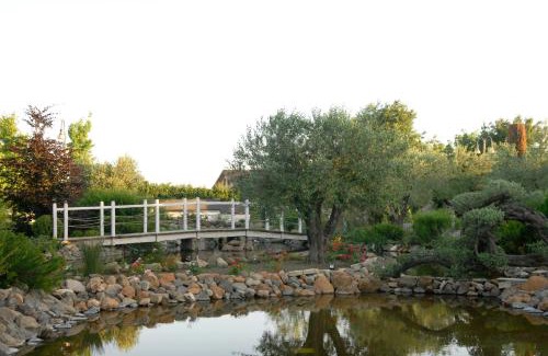 Palestrina Bed & Breakfast | Villa Domus Petra