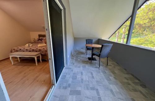 Krapinske Toplice Villa | Villa Dora