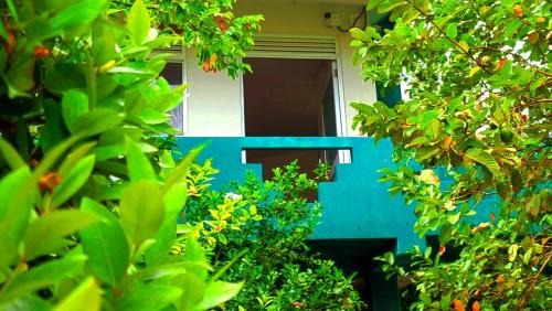Boossa House | Villa Dragon House