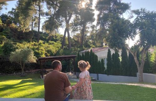 Siviri Villa | Villa Elani