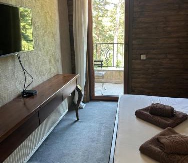 Panichishte House | Villa Ema