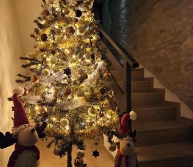 Crveni Vrh Apartment | Villa Emilia 2