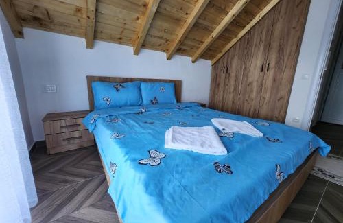 Pleshinë Villa | Villa Ensari Jezerc