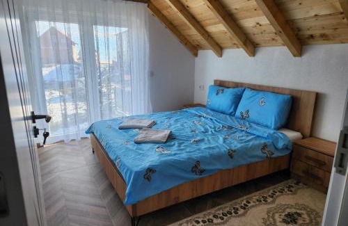 Pleshinë Villa | Villa Ensari Jezerc