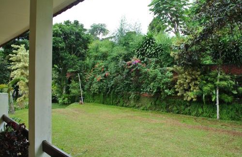 Gadog Villa | Villa (Entire) Teddy 6500m2 land@Gadog 650m above sea level.