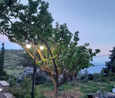 Anatoli Villa | Villa Erato in Kalliope estate