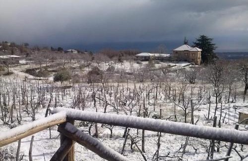 Fornazzo House | Villa Etna Masi'