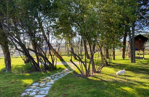 Falciano Apartment | Villa Fai Bei Sogni-your best relaxation, nature, pool...