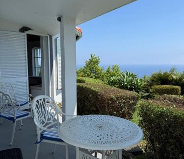 Santa Cruz das Flores Villa | Villa Ferreirinha