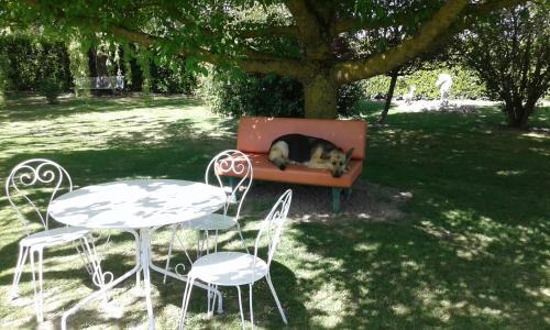 Castelmayran Bed & Breakfast | Villa Gazounette