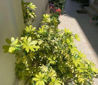 Kiten House | Villa Gergana Kiten