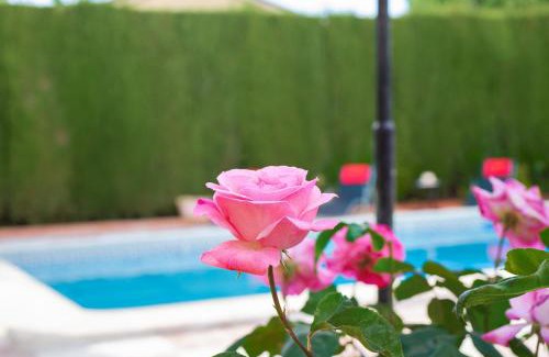 Barrio de la Vega Villa | Villa Granada Garden Deluxe