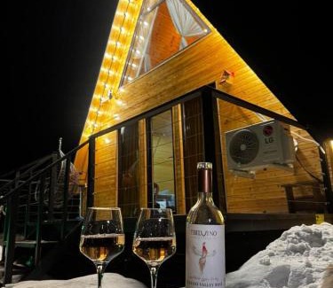Ganisi Cabin | Villa Hillside Gudauri