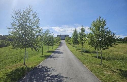 Videm Villa | Villa Hojnik