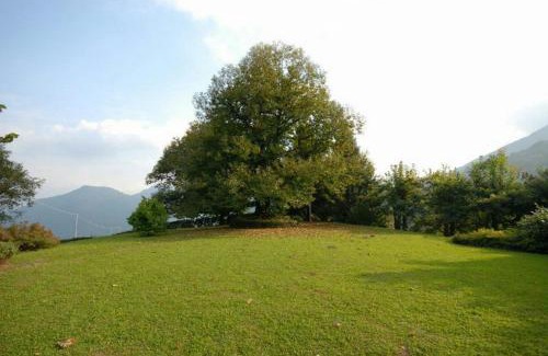 Cerano d'Intelvi Villa | Villa Il Castagno