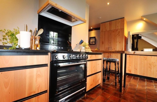Rheezerveen Villa | Villa in Ommen with Private Pond