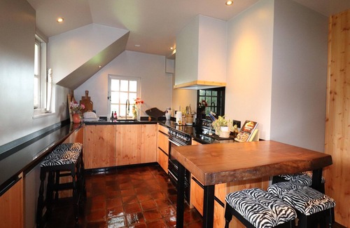Rheezerveen Villa | Villa in Ommen with Private Pond
