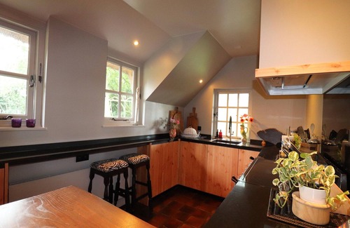 Rheezerveen Villa | Villa in Ommen with Private Pond