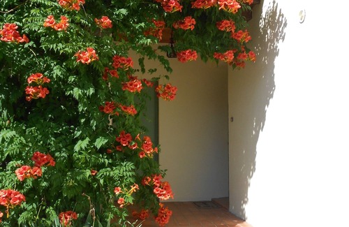 Montreal Villa | Villa in tranquil setting with private pool ideal for families