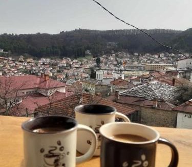 Krusevo Apartment | Villa Irena
