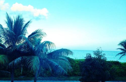 Mid Beach Apartment | Villa Katy, Beachfront property