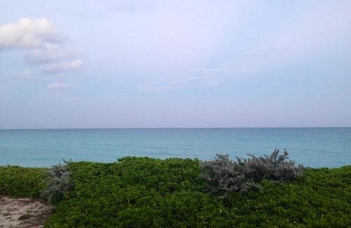Mid Beach Apartment | Villa Katy, Beachfront property