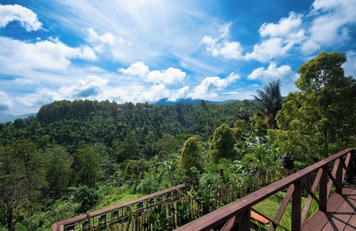 Wanagiri Villa | Villa Kayu Amertha