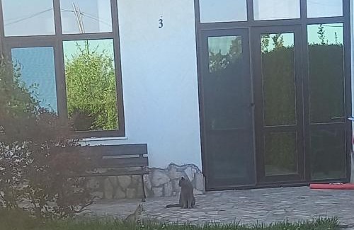 Bliznatsi Apartment | Villa Ketli Apartment
