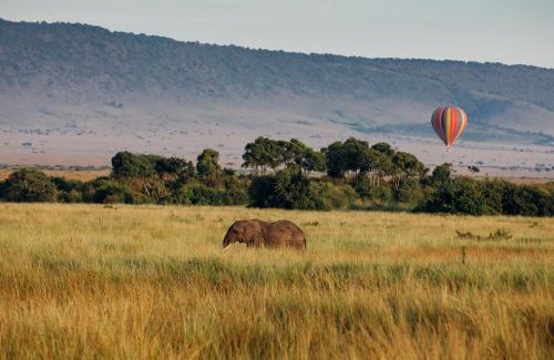 Hoedspruit Villa | Villa Kudu - Exclusive and Serviced Safari Villa near Kruger Park