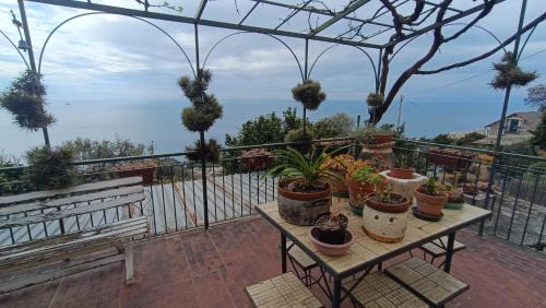 Sant'Ilario Apartment | Villa La Mamounia