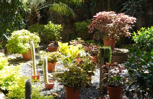 San Salvador Villa | Villa Las Flores