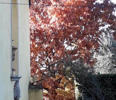 Careggi Rifredi House | Villa Le Pergole- Firenze