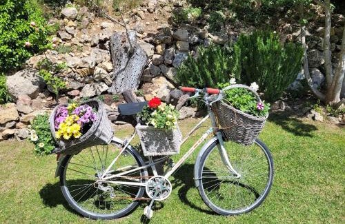 Besse-sur-Issole House | Villa Les palmiers en Provence